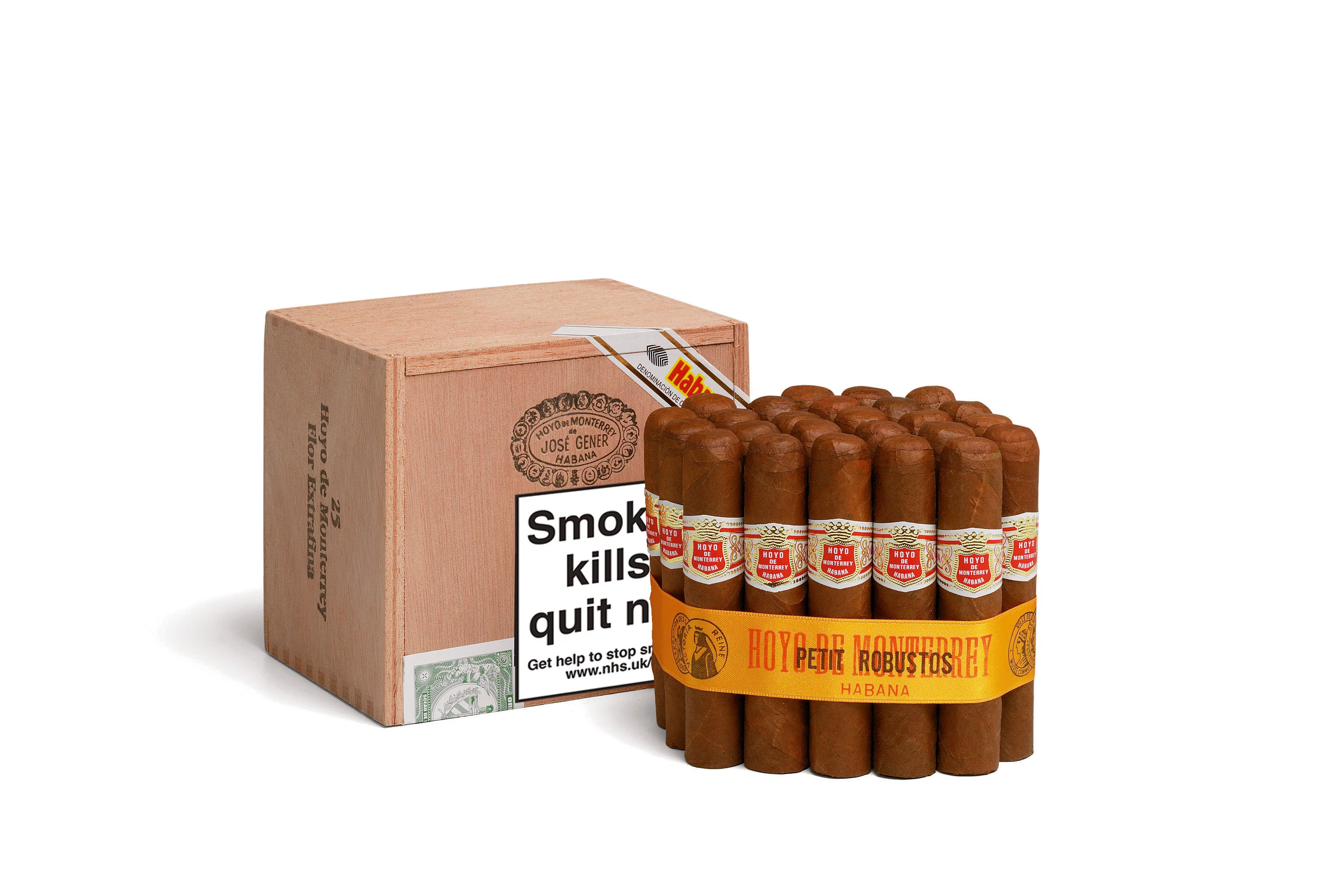 Hoyo De Monterrey Petit Robusto - Image 3