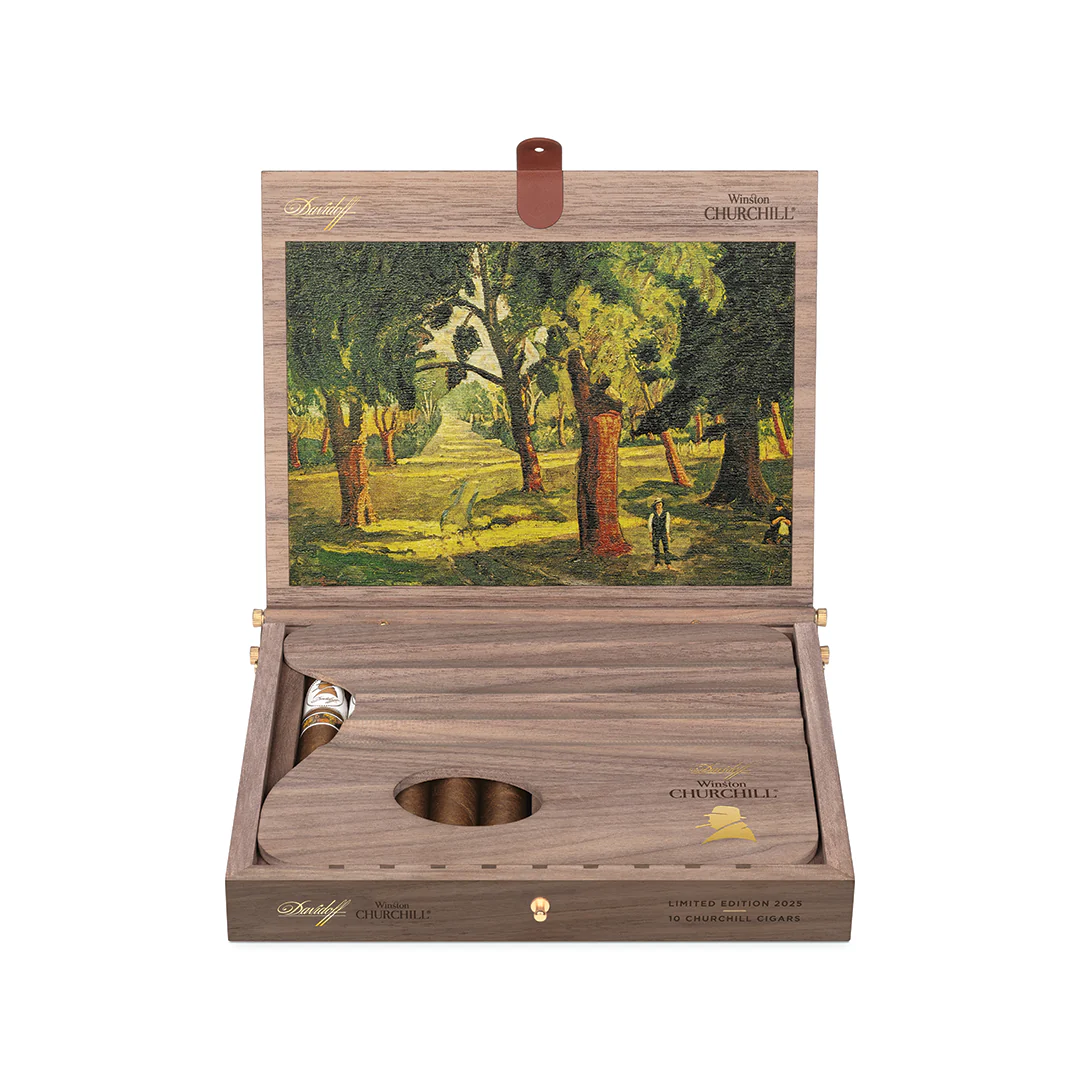 Winston Churchill Limited Edition 2025 - The Artist - Image 3